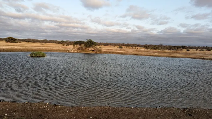 Teich in Warsayso